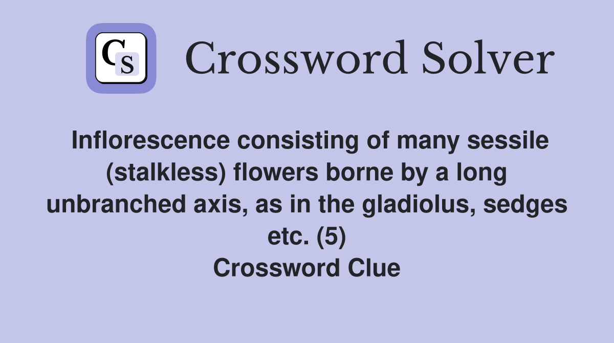Inflorescence consisting of many sessile (stalkless) flowers borne by a
